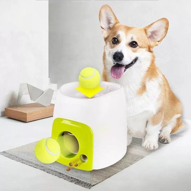 Automatic Pet Ball Launcher for Interactive Fetch - image 2