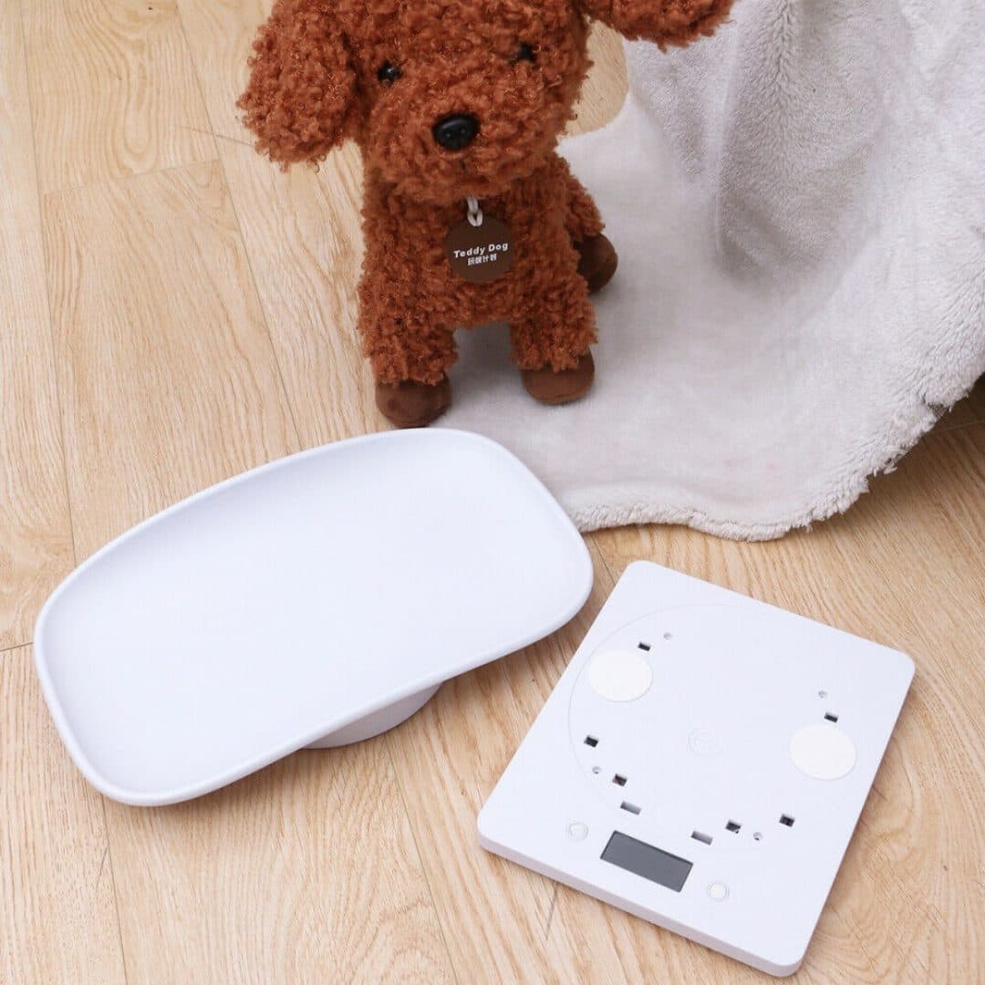 Digital LCD Weighing Scale for Small Pets, Up to 10kg - image 5