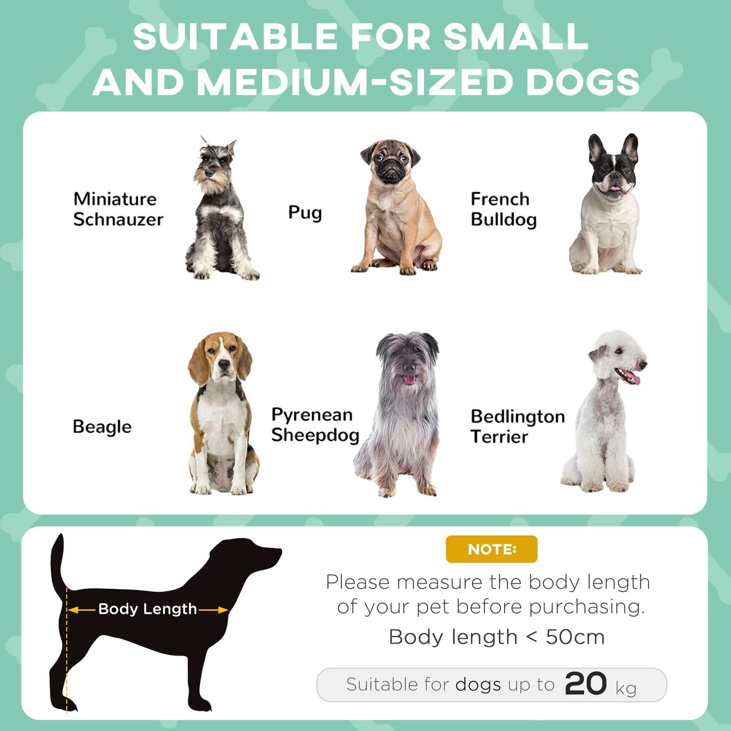 Keep Your Dog Cool Outdoors with a Raised Bed and Canopy - image 1
