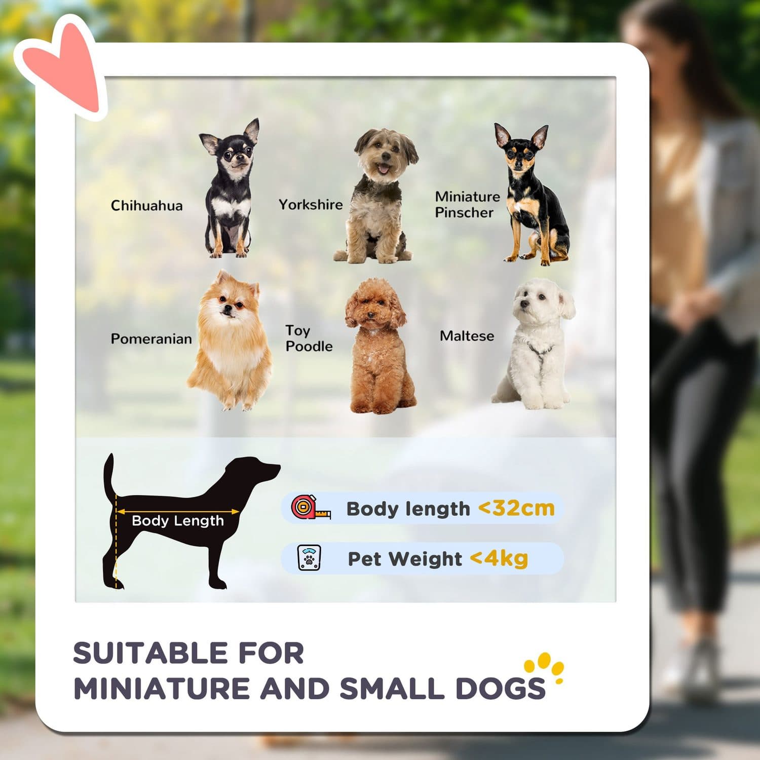 PawHut Foldable Dog Pram Stroller - image 2