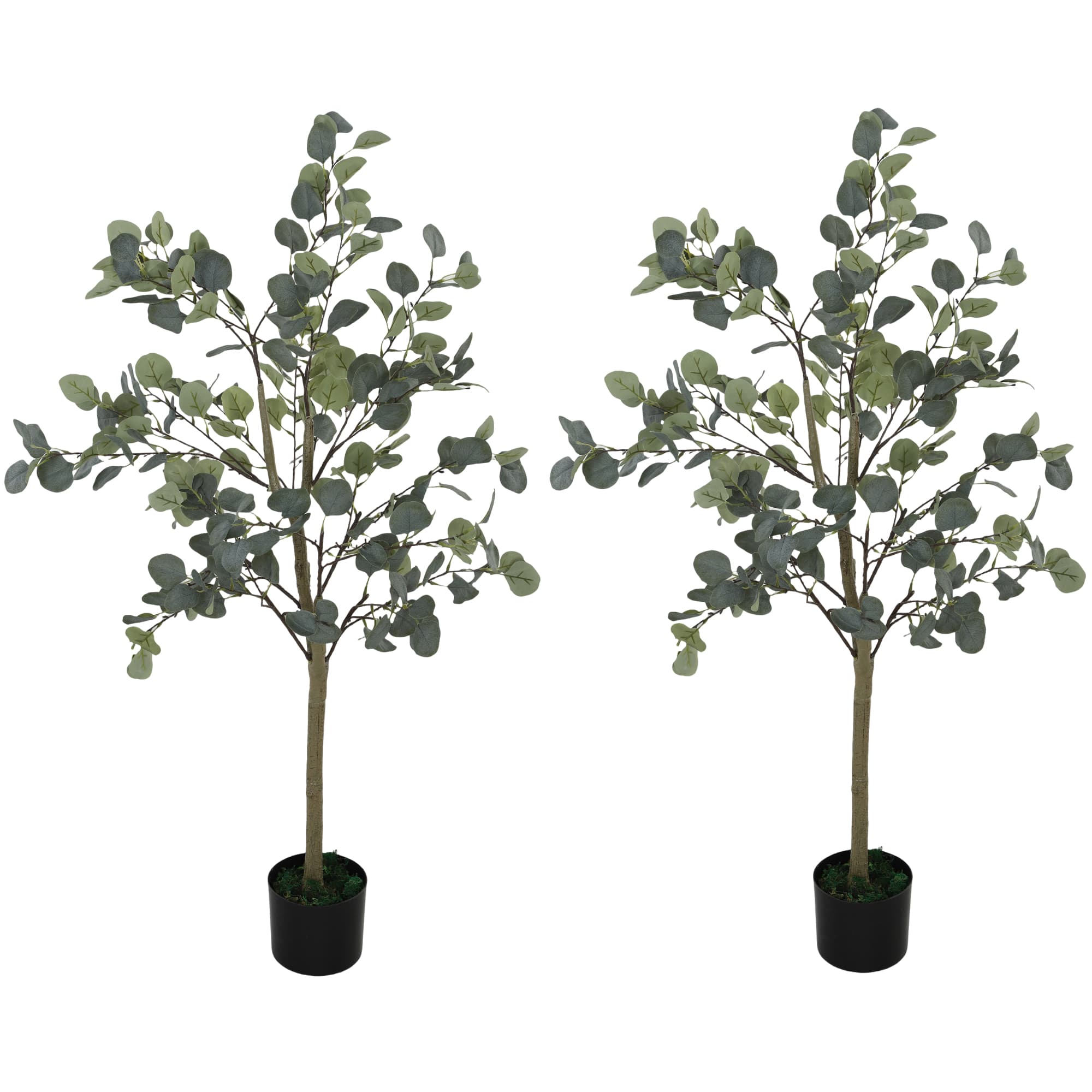Set of 2 Artificial Silver Dollar Eucalyptus Trees in Black Pots