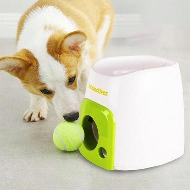 Automatic Dog Ball Launcher - image 8