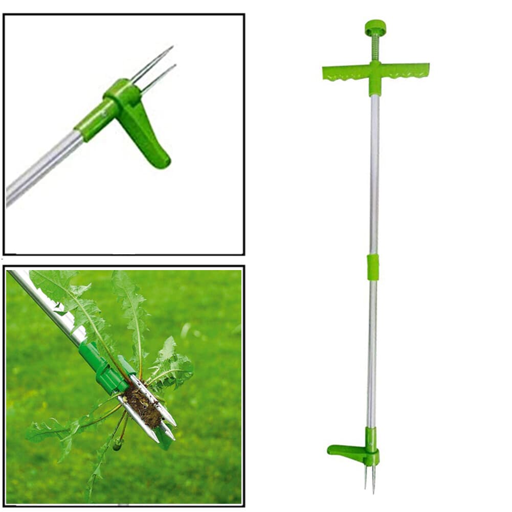 Standing Weed Puller for Lawns and Borders - image 8