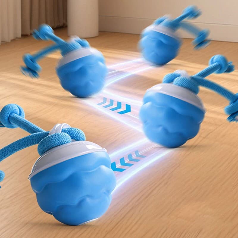 Chase Buddy Interactive Toy for Dog Boredom - image 10