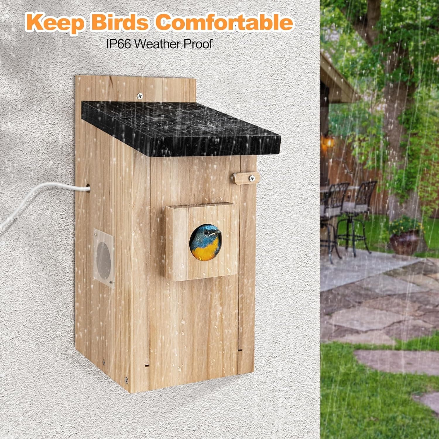 Smart Bird House with 3MP Camera and Motion Detection - image 1