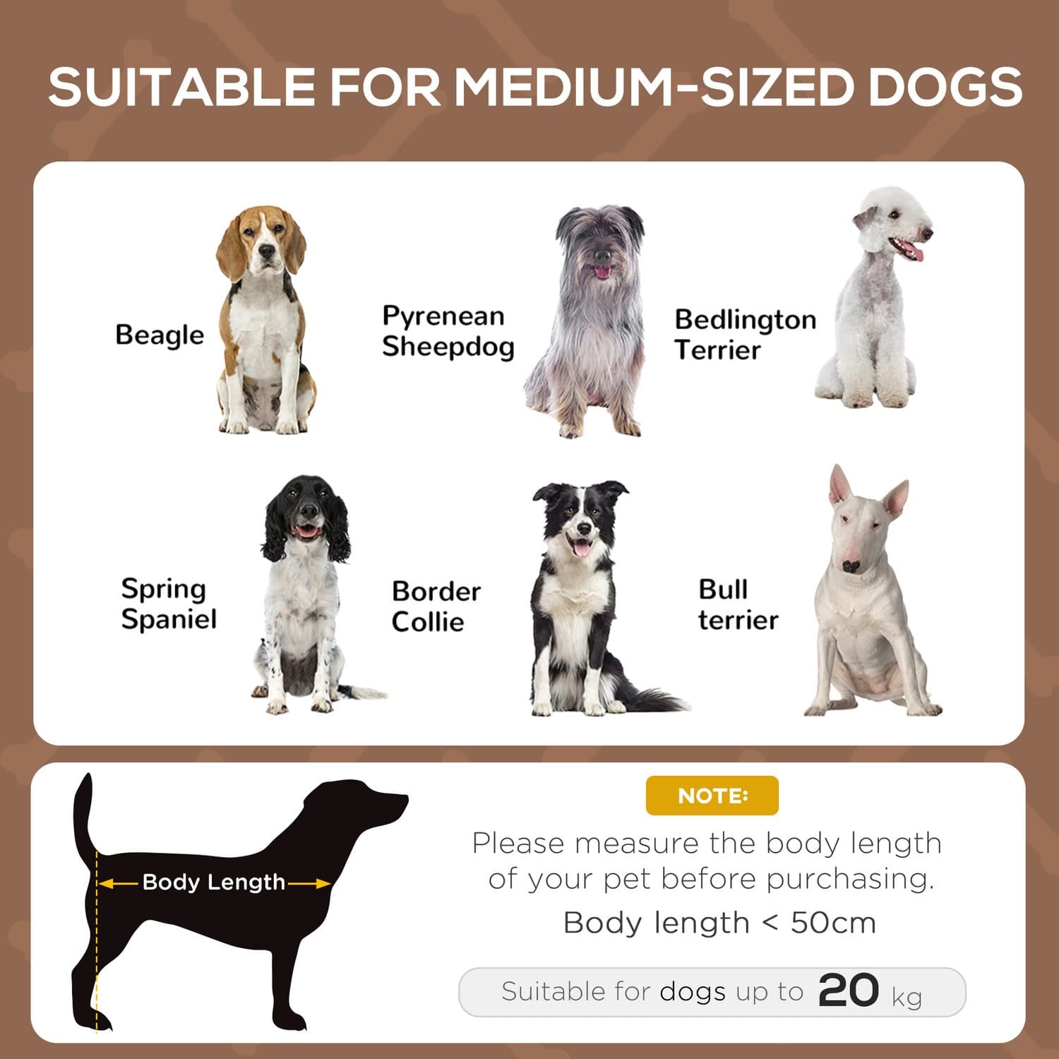 Raised Dog Bed with Breathable Canopy - Medium - image 5