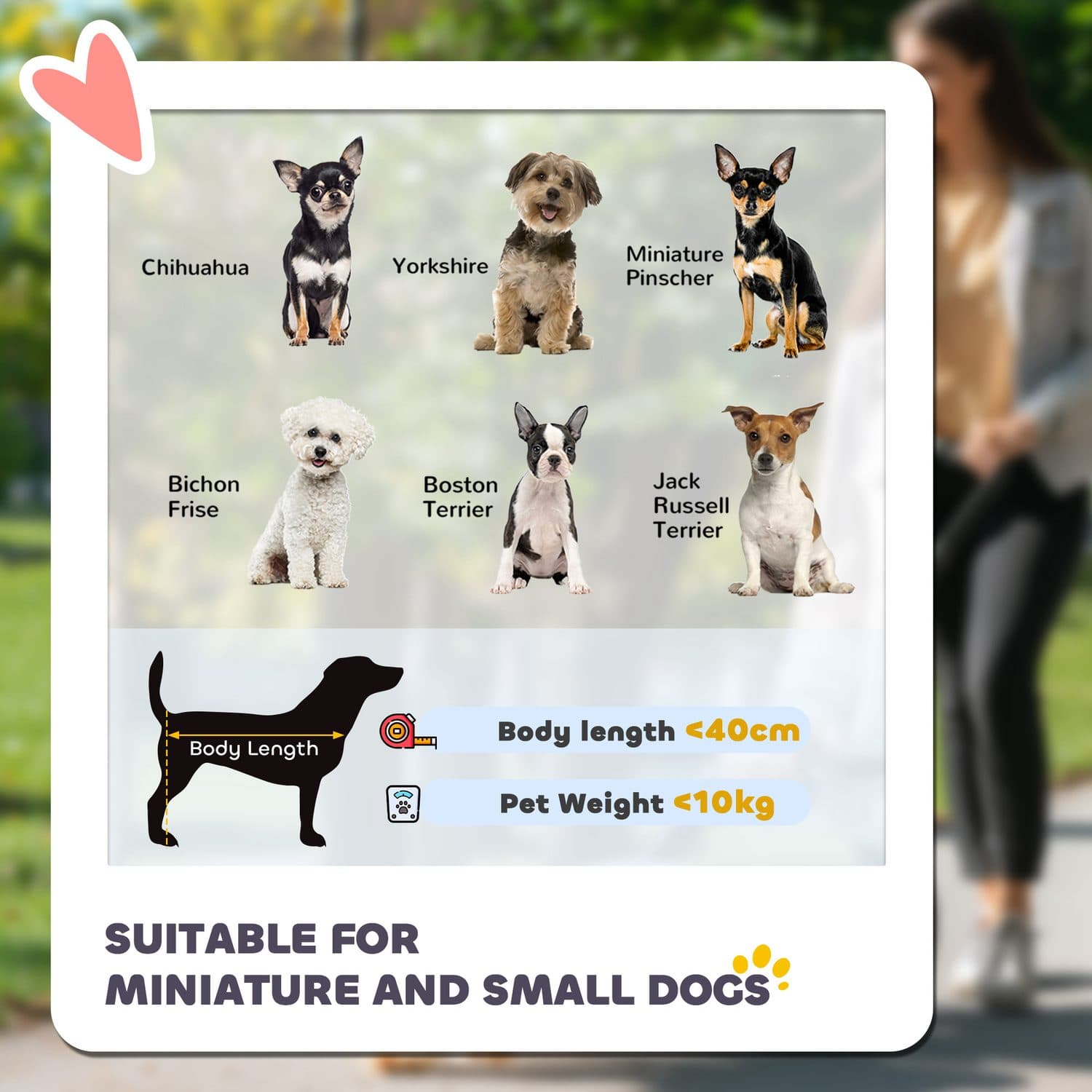 Foldable Pet Stroller with Detachable Carrier - image 5