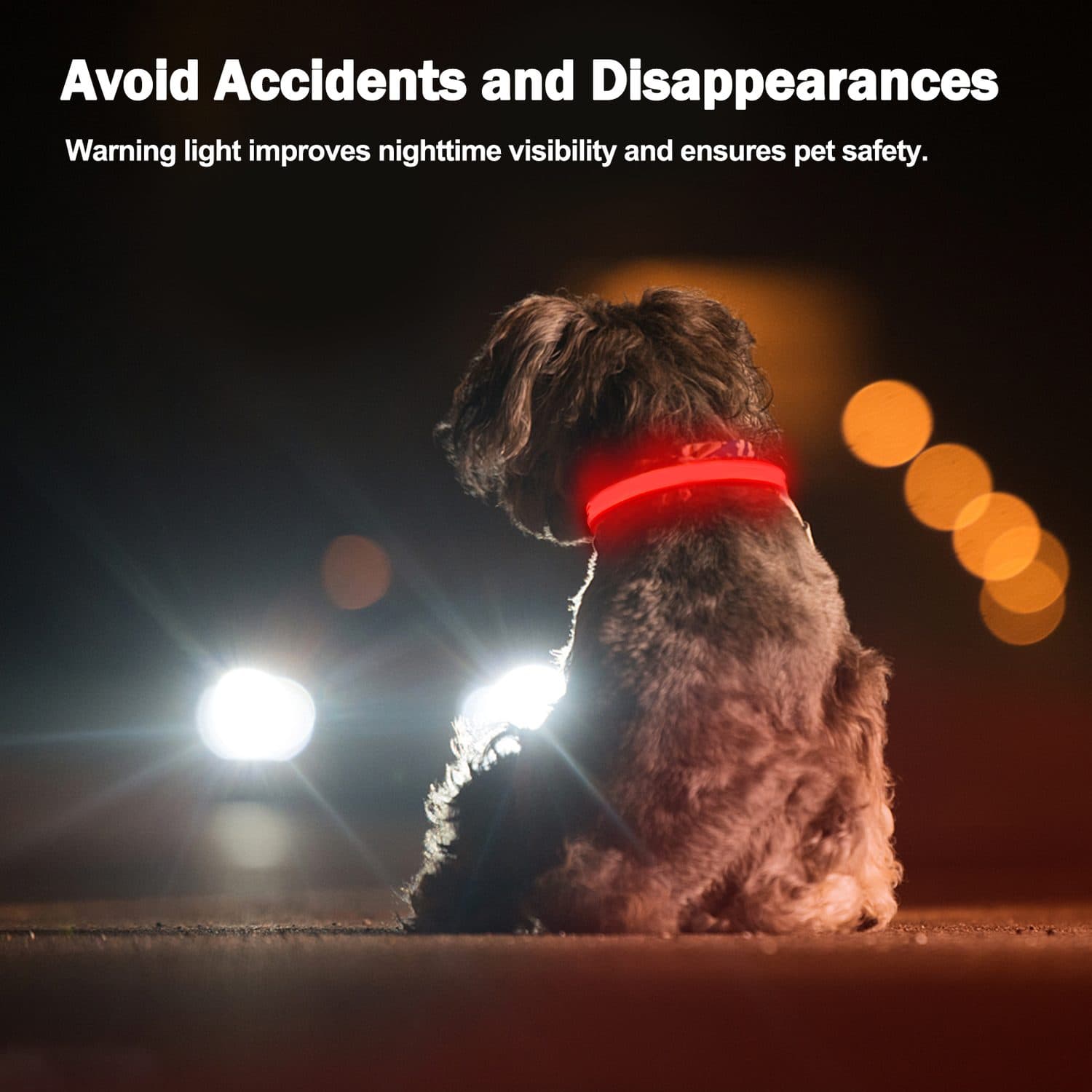 Rechargeable LED Light Up Dog Collar - Medium - image 7