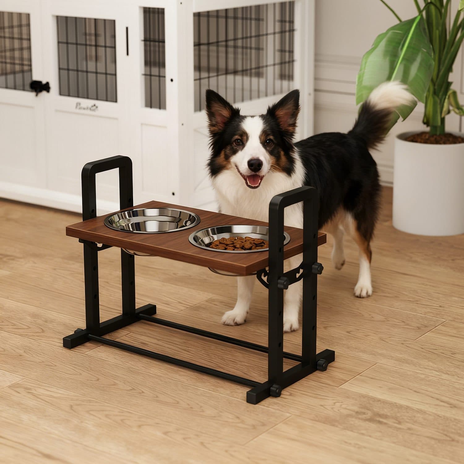 Keep Mealtimes Comfortable With a Height-Adjustable Dog Bowl Stand - image 4