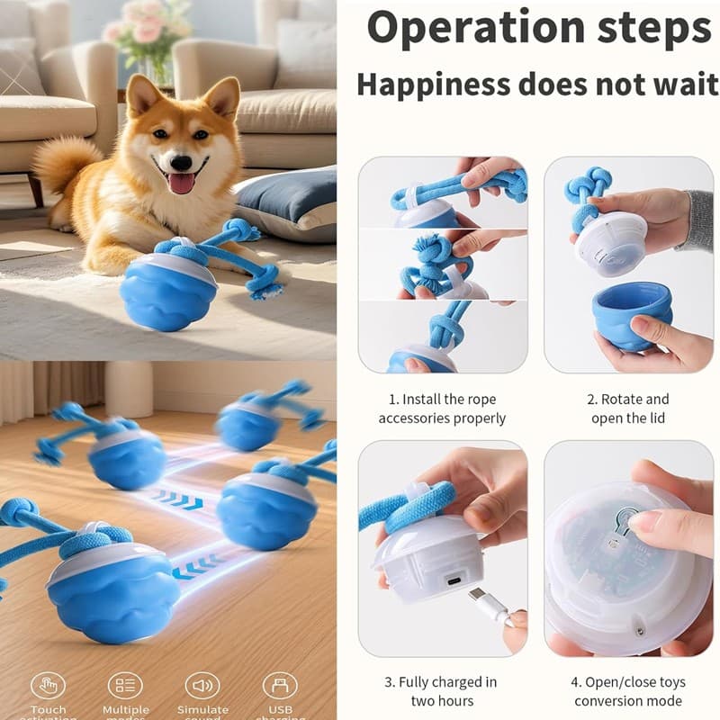 Chase Buddy Interactive Toy for Dog Boredom - image 6