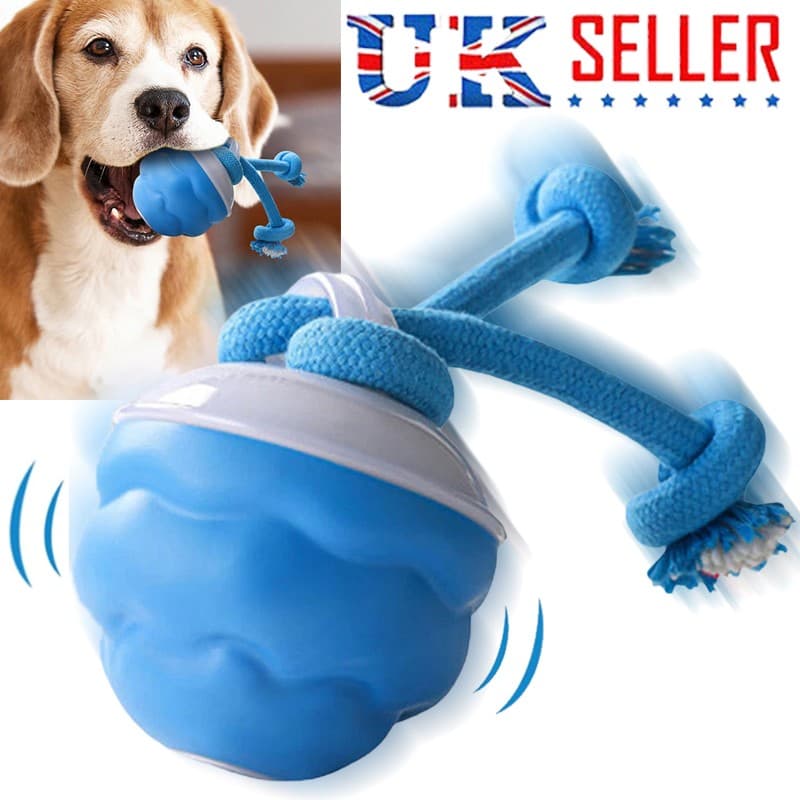 Chase Buddy Interactive Toy for Dog Boredom