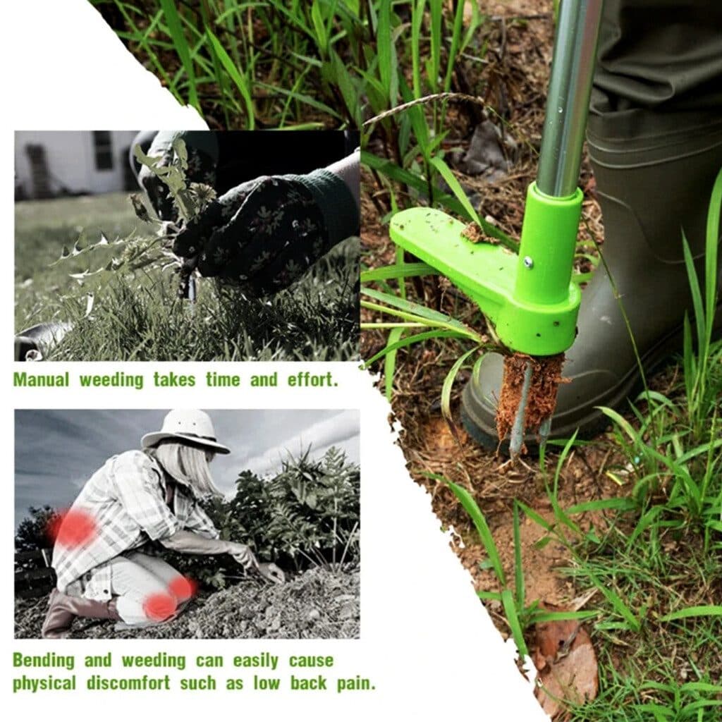 Standing Weed Puller for Lawns and Borders - image 2