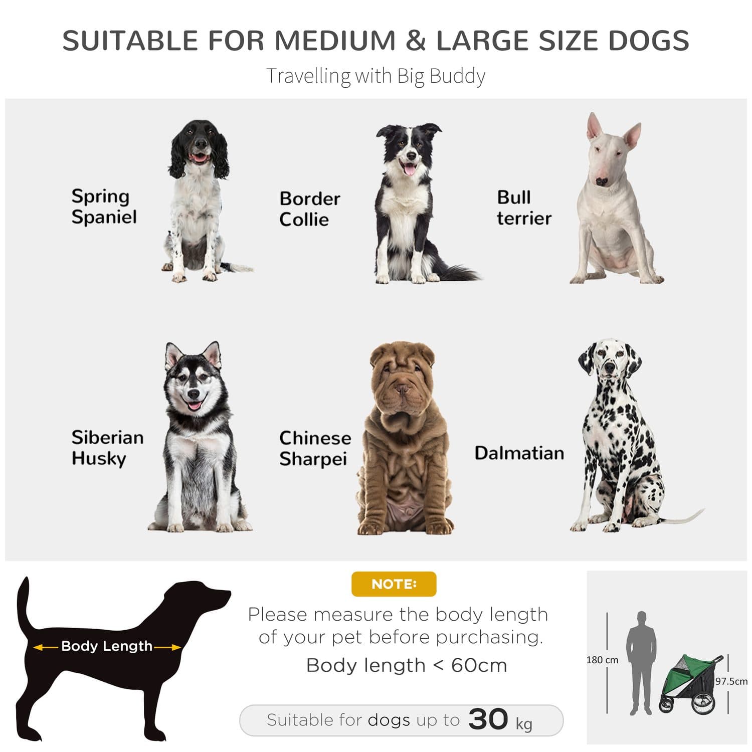Foldable Pet Stroller for Large Dogs with Safety Leash - image 1