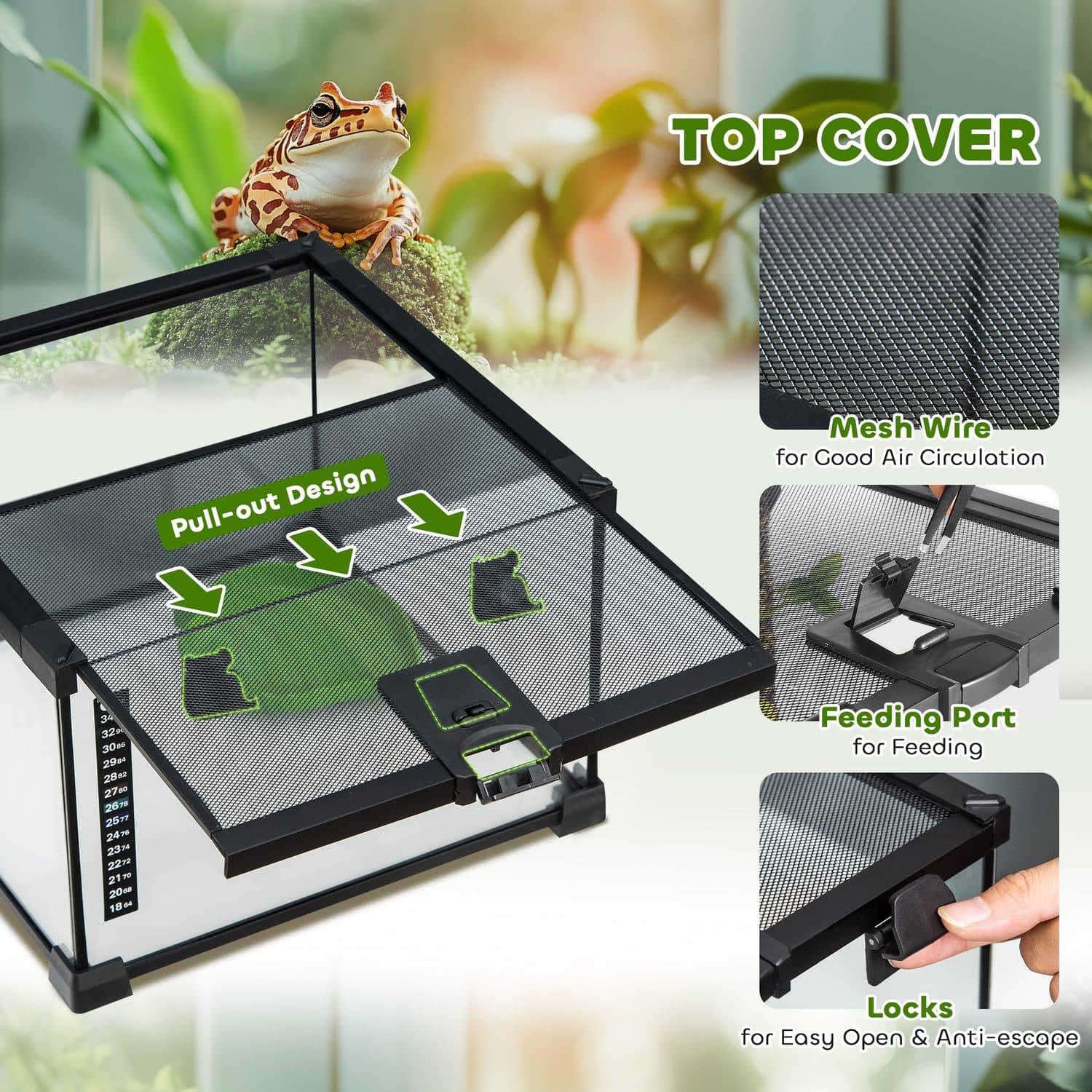 PawHut 360° Glass Vivarium for Lizards, Frogs and Spiders - image 5