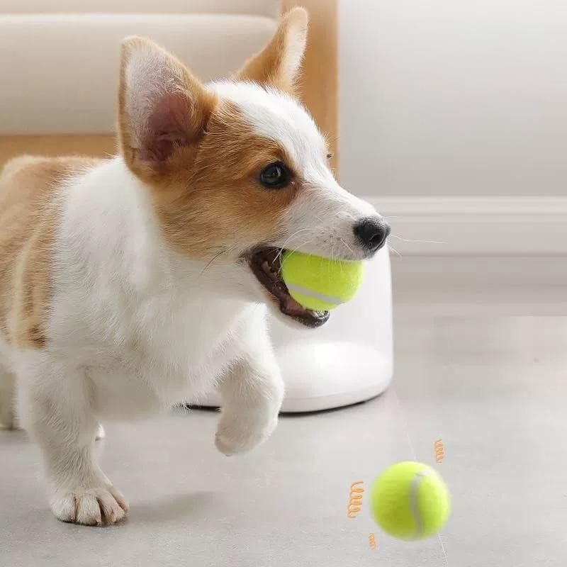 Automatic Pet Ball Launcher for Interactive Fetch - image 5
