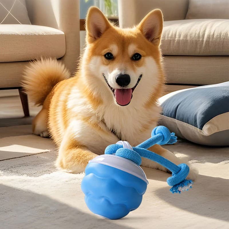 Chase Buddy Interactive Toy for Dog Boredom - image 5