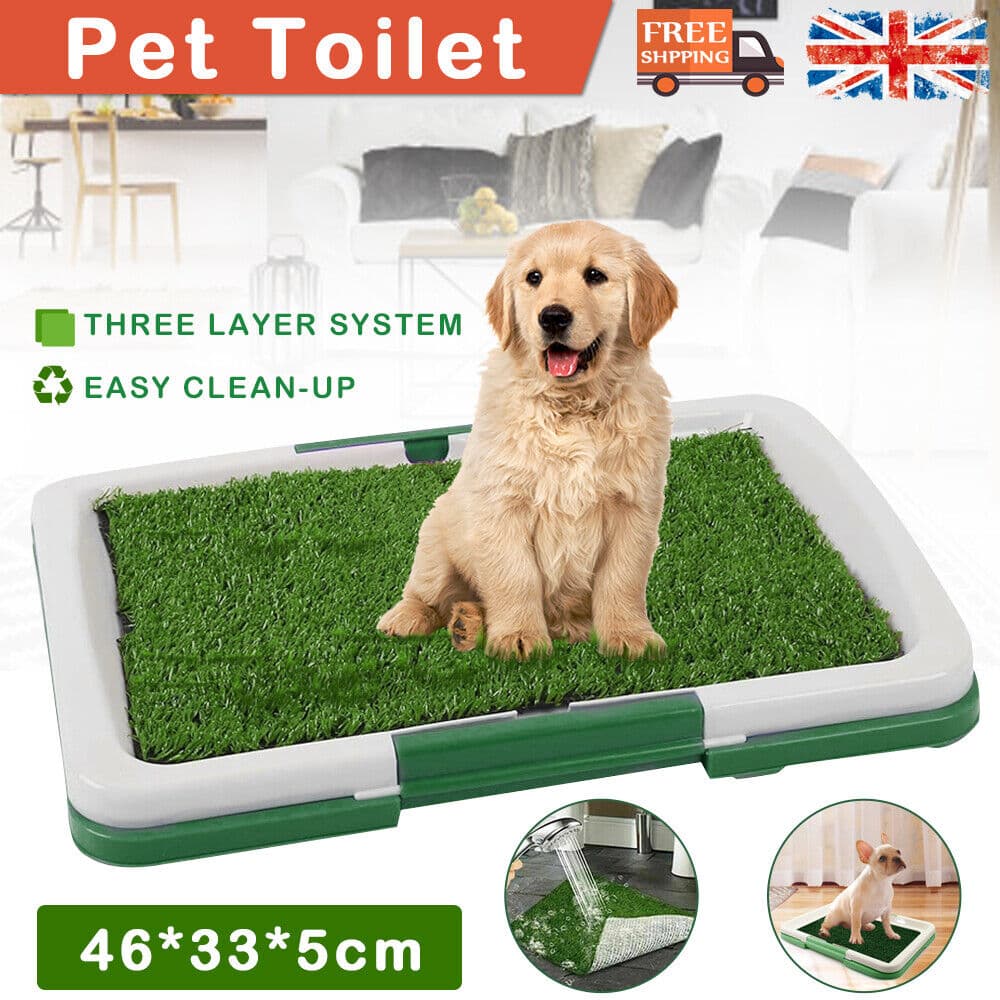 Large Indoor Dog Toilet Training Grass Mat