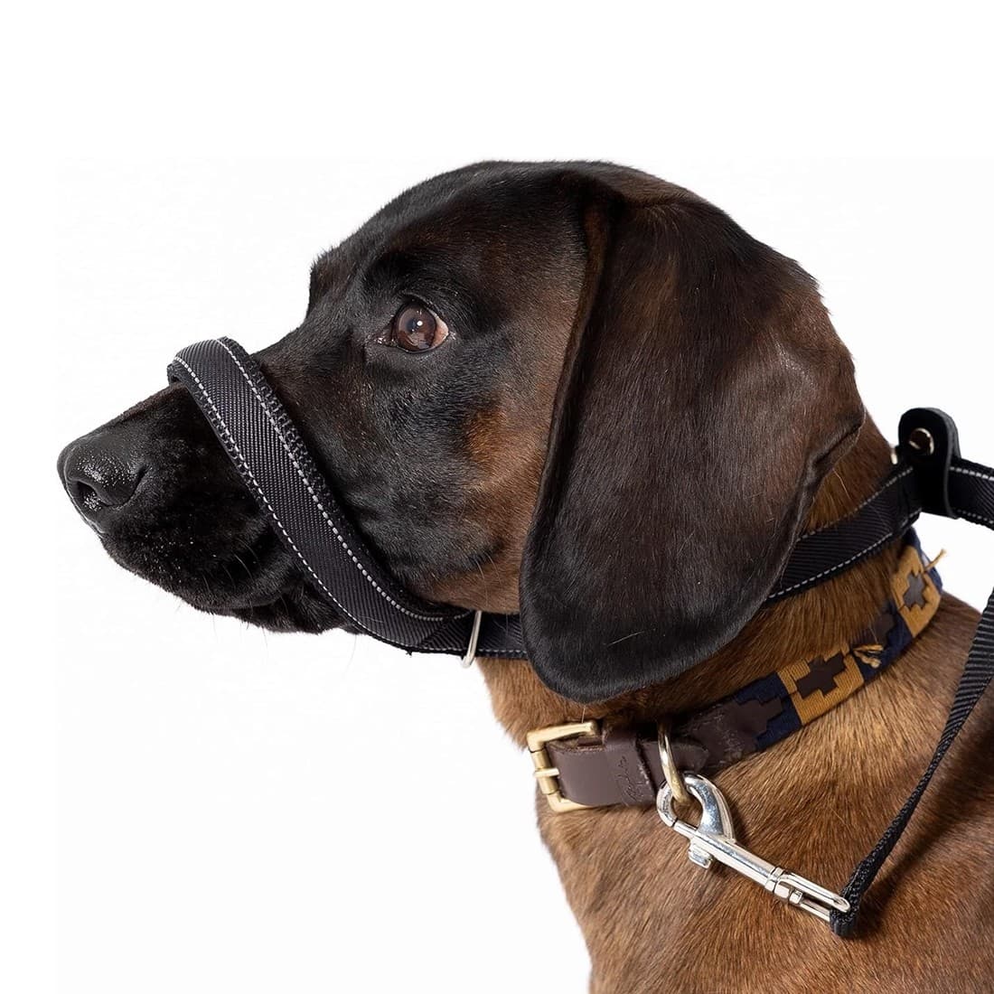 Integrated Anti-Pull Muzzle & Leash for Dogs - image 8
