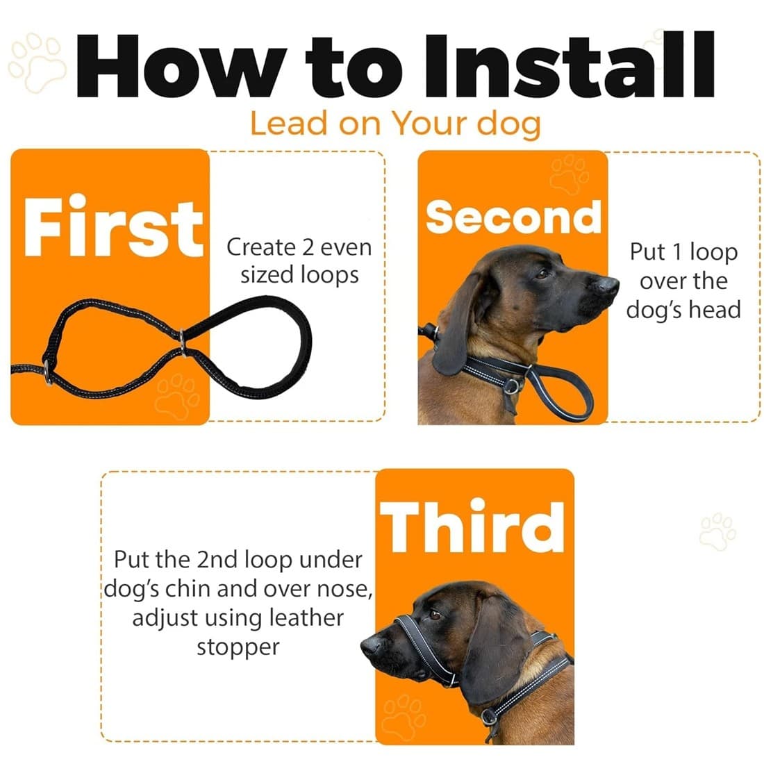 Integrated Anti-Pull Muzzle & Leash for Dogs - image 5