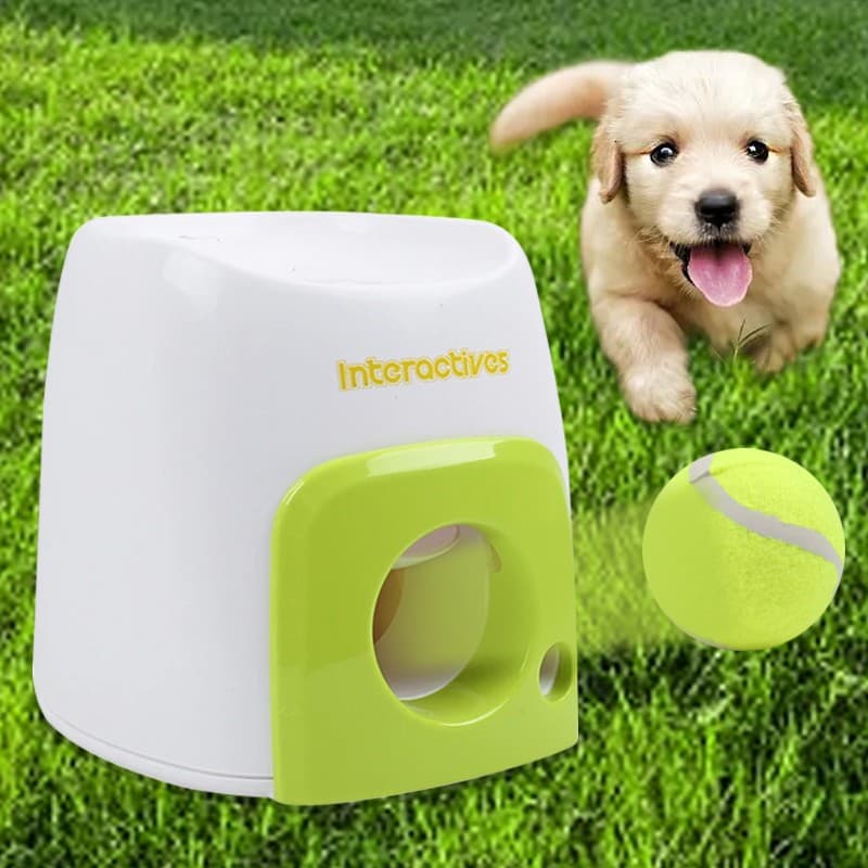 Automatic Dog Ball Launcher - image 7