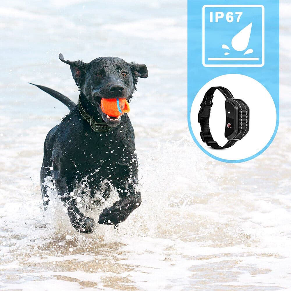 Electric Dog Training Collar with Remote Control - image 1