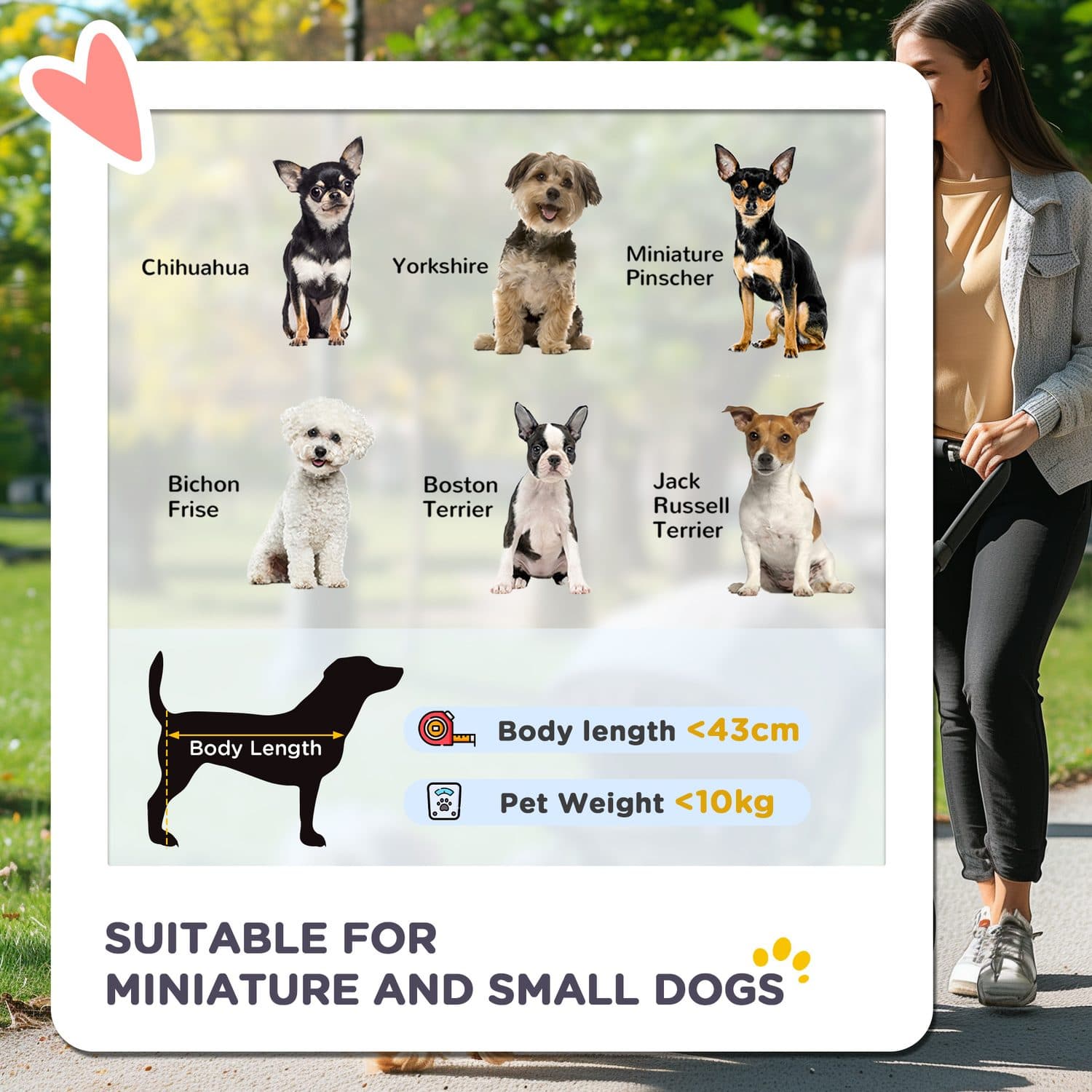Pet Stroller Pushchair with Reversible Handle - image 4