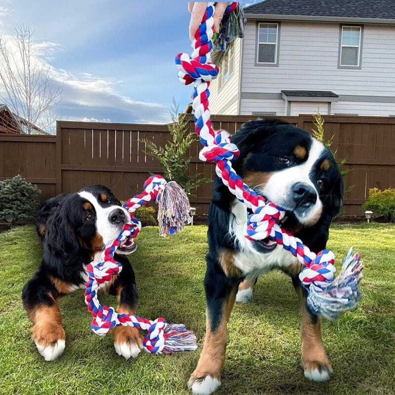 Extra Large Cotton Rope Toy for Large Dogs - image 9