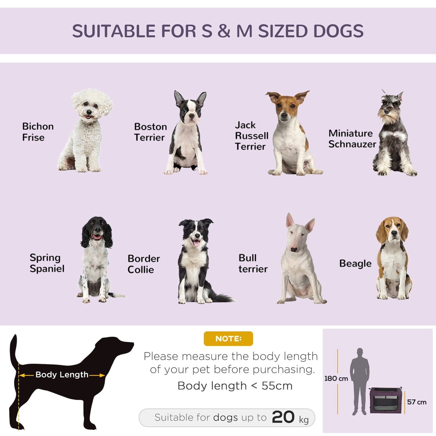 Collapsible Pet Crate 80cm in Purple — For Small to Medium Dogs - image 2