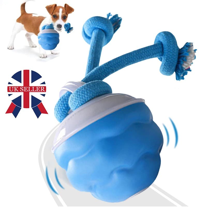 Chase Buddy Interactive Toy for Dog Boredom - image 1