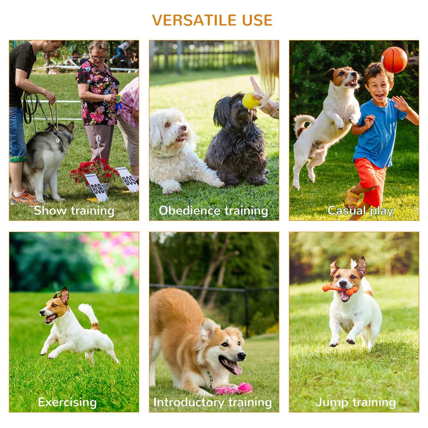 5-Piece Dog Agility Obstacle Set with Carry Bag - image 2