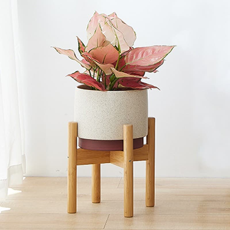 Show off indoor plants on a bamboo pot stand - image 6