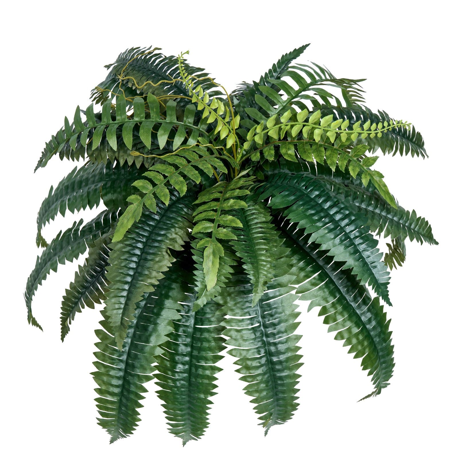 Lush Artificial Boston Ferns