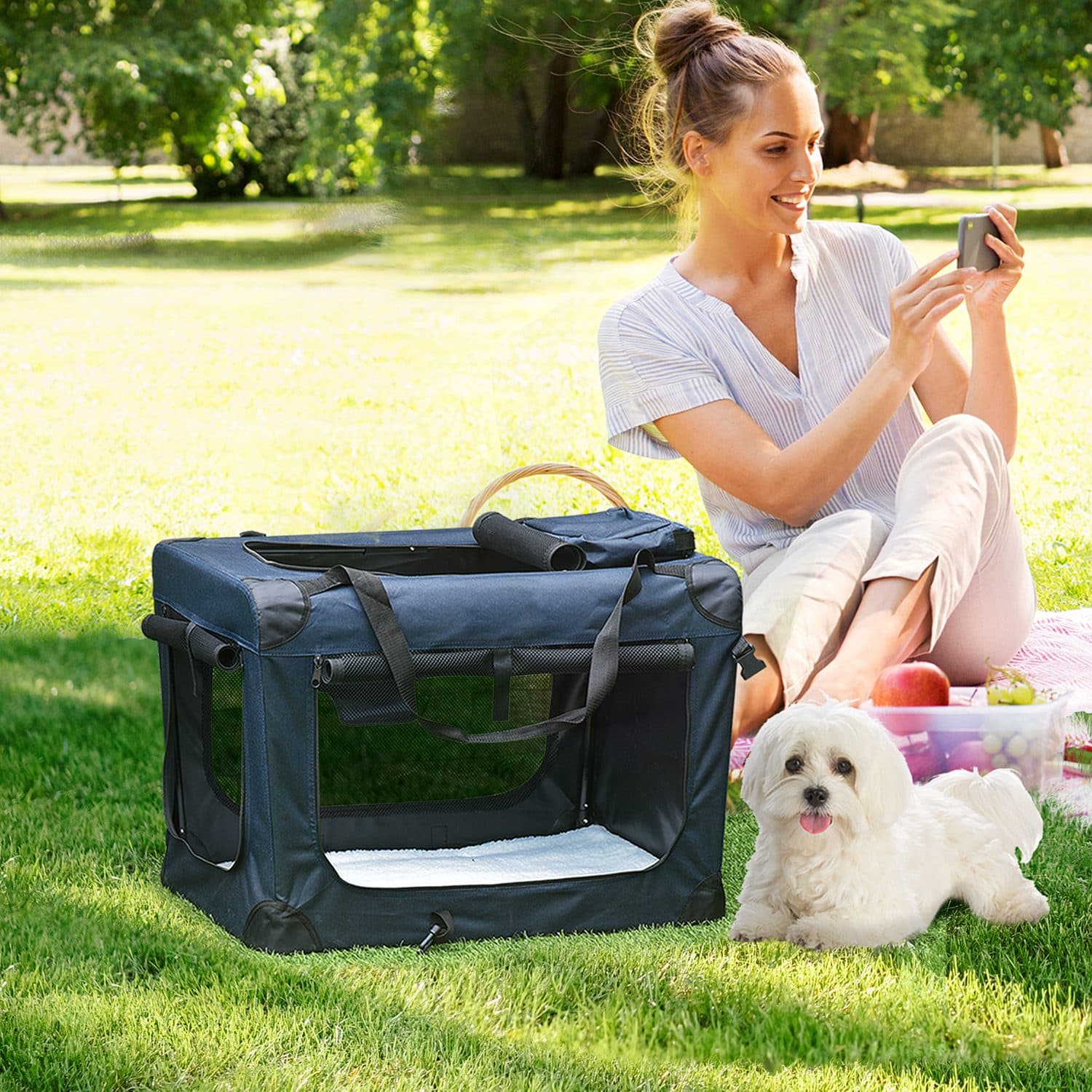PawHut Foldable Soft-Side Pet Carrier with Mesh Windows - image 1