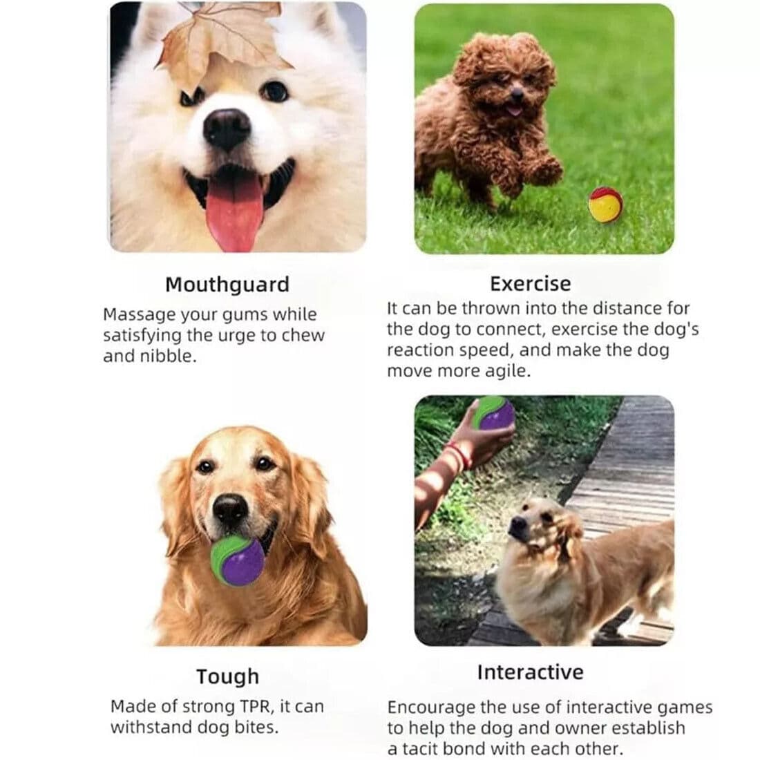 Squeaky Dog Balls, Set of 8, for Chewing and Play - image 9