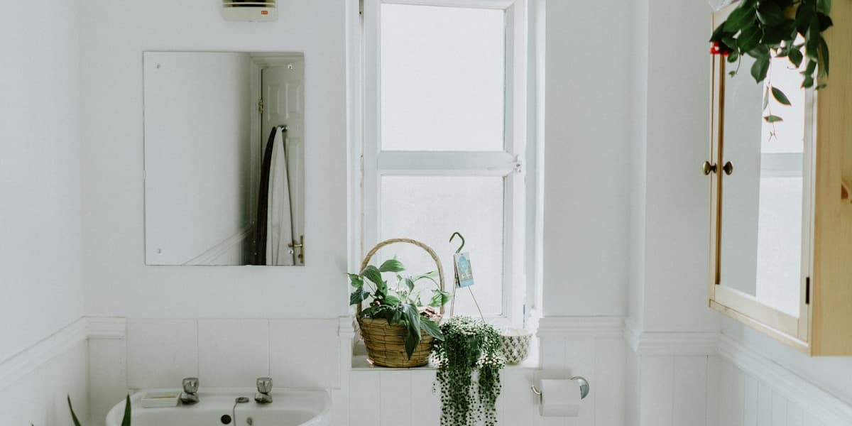 Electric Shower vs Mixer Shower: Which Is Right for Your Bathroom?