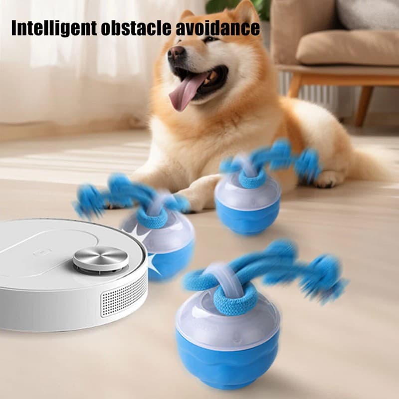 Chase Buddy Interactive Toy for Dog Boredom - image 4