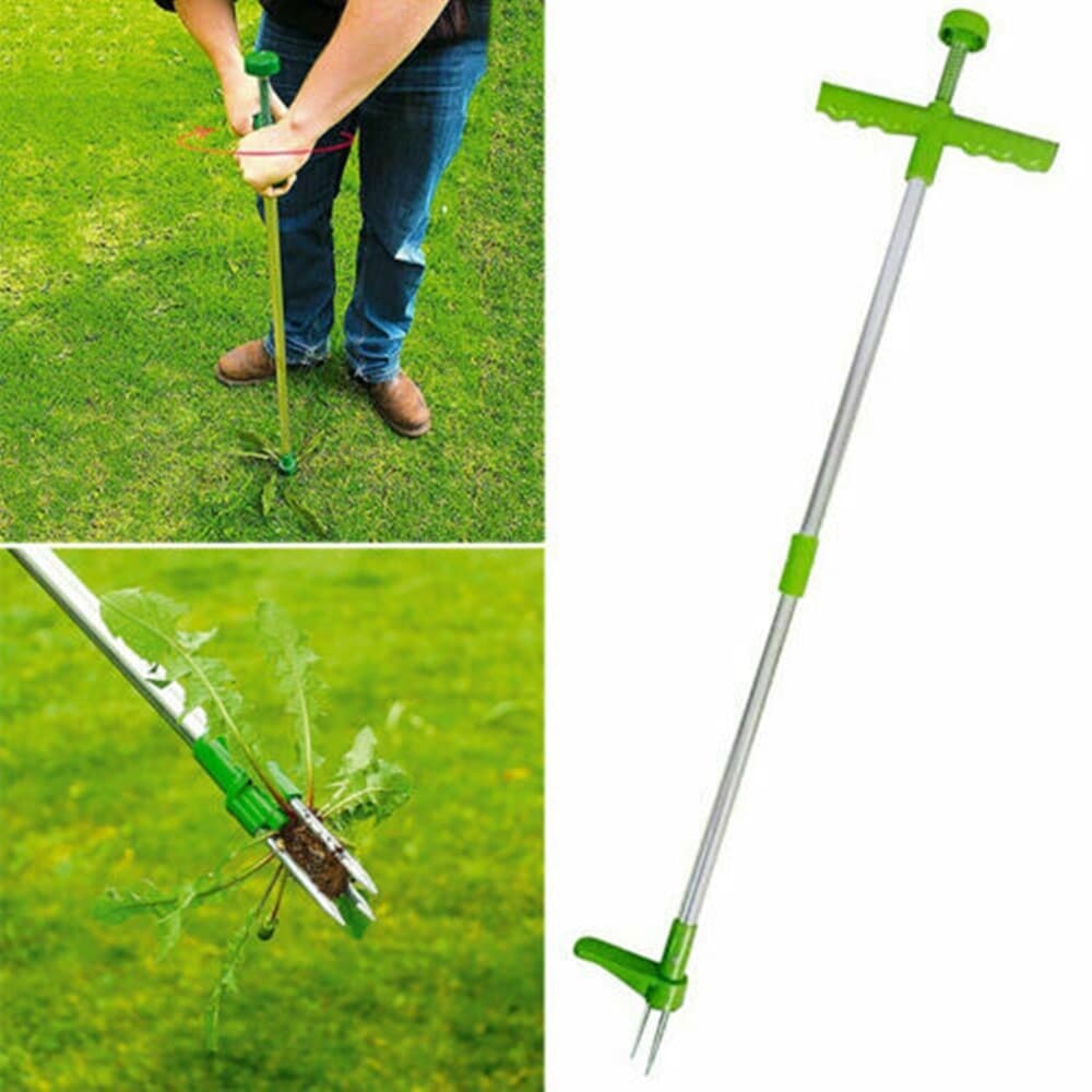 Standing Weed Puller for Lawns and Borders - Default