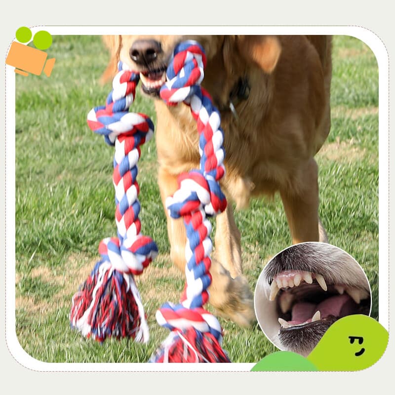 Extra Large Cotton Rope Toy for Large Dogs - image 3