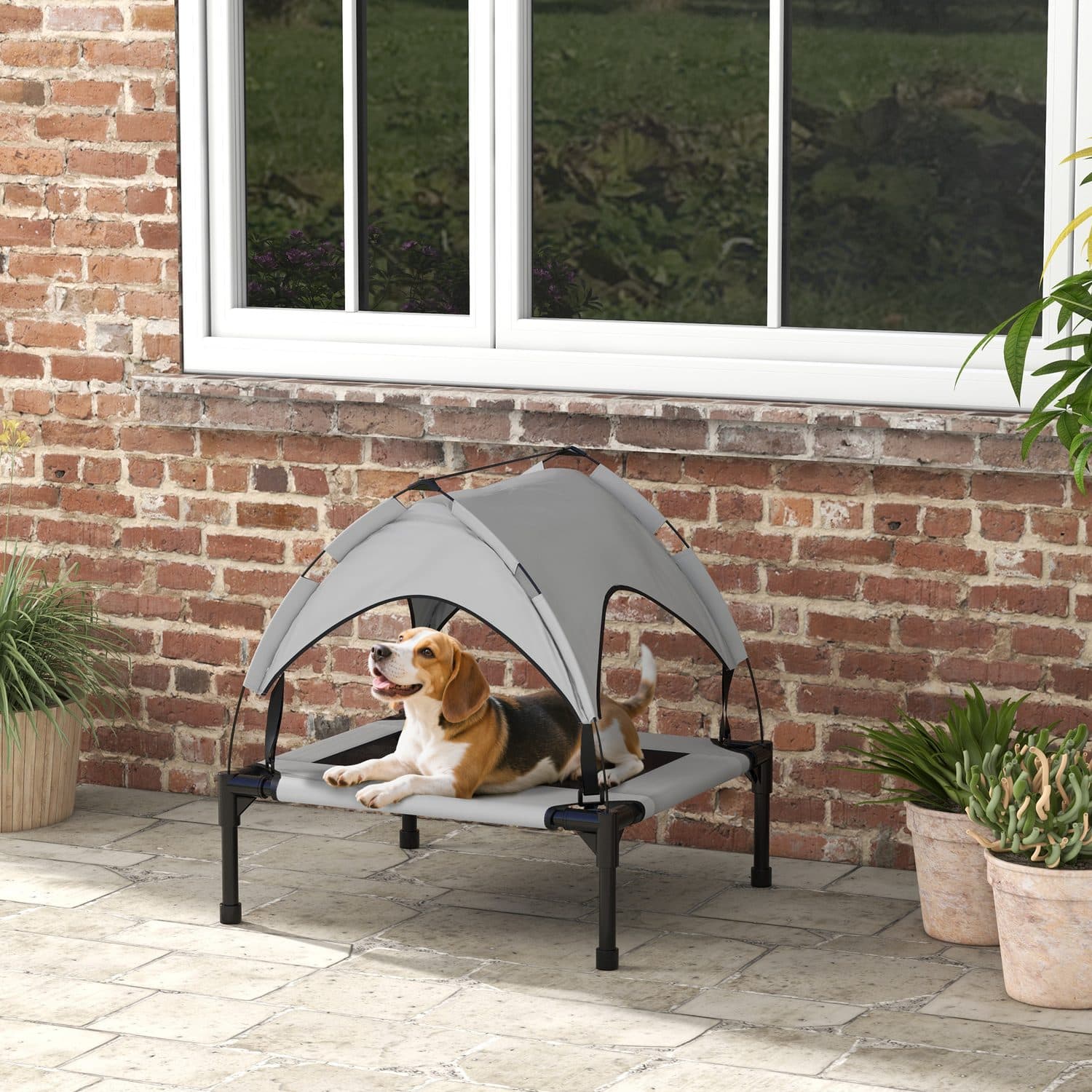 Keep Your Dog Cool Outdoors with a Raised Bed and Canopy - image 2