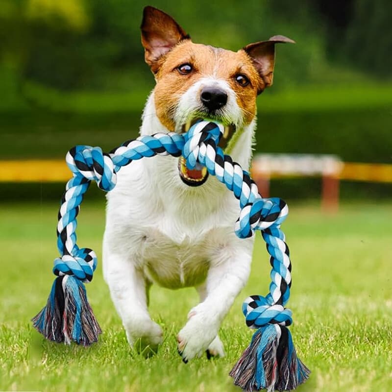 Extra Large Cotton Rope Toy for Large Dogs - image 7