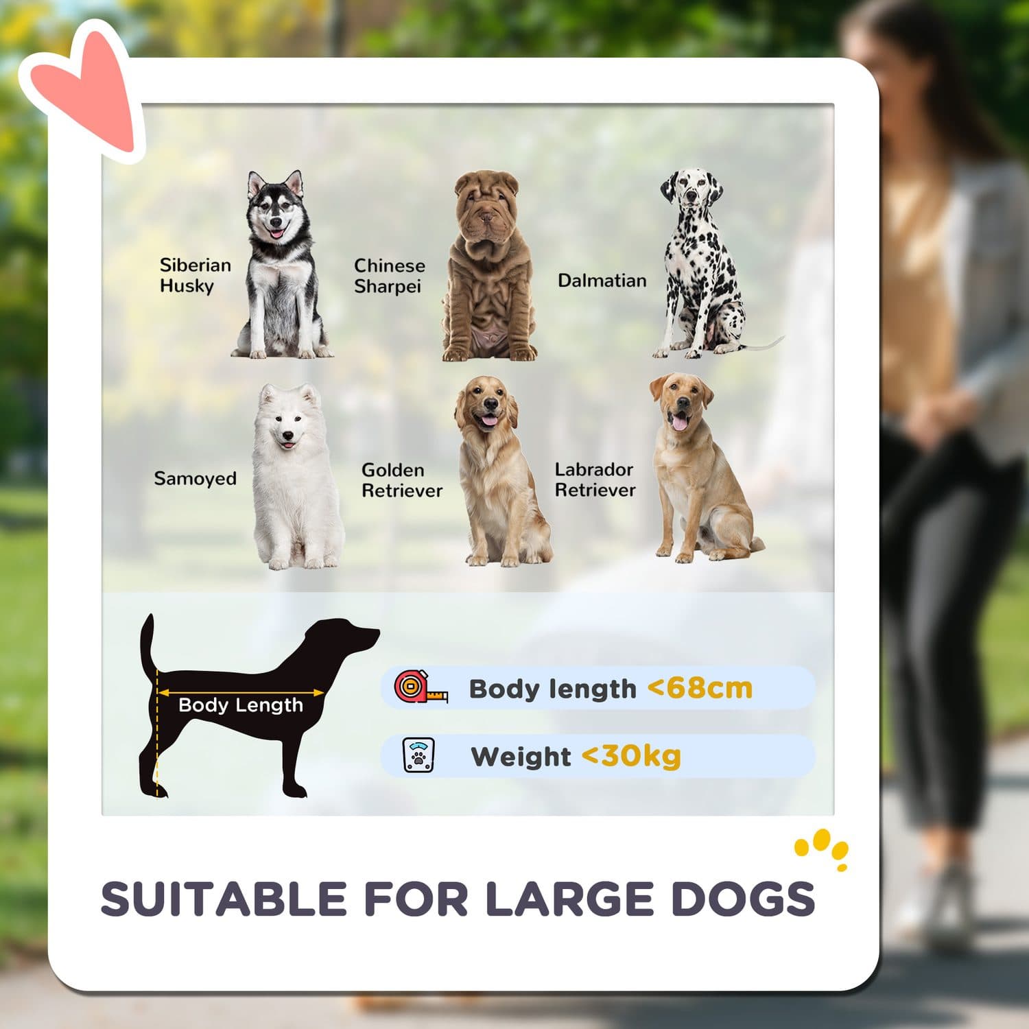 Foldable Pet Stroller for Large Dogs, Up to 30kg - image 1