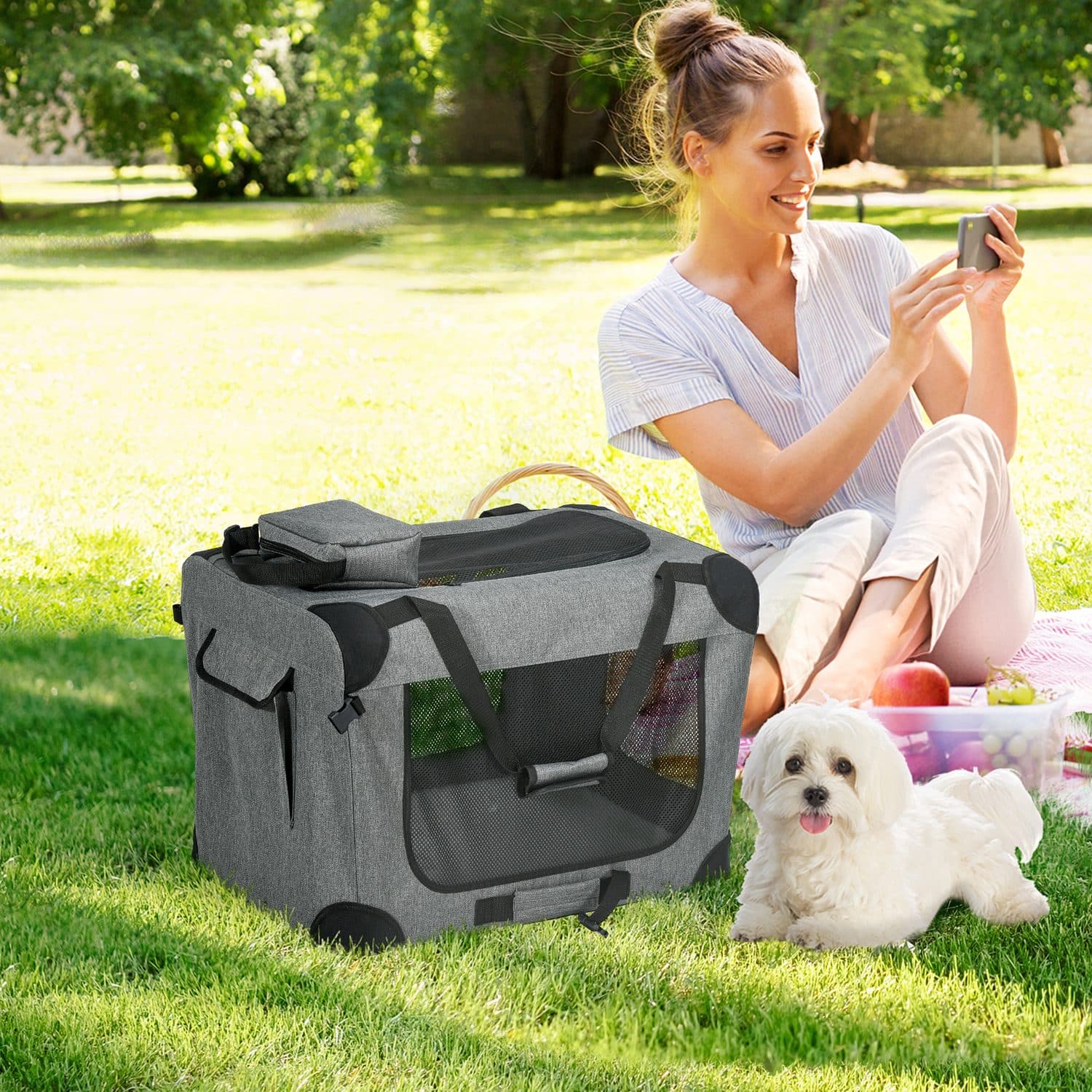 Foldable Oxford Fabric Pet Carrier with Mesh Windows - image 1