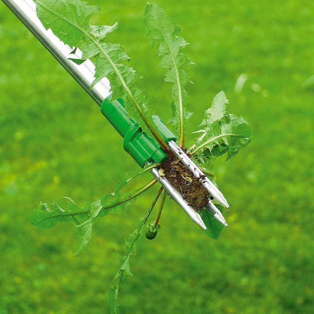 Standing Weed Puller for Lawns and Borders - image 5