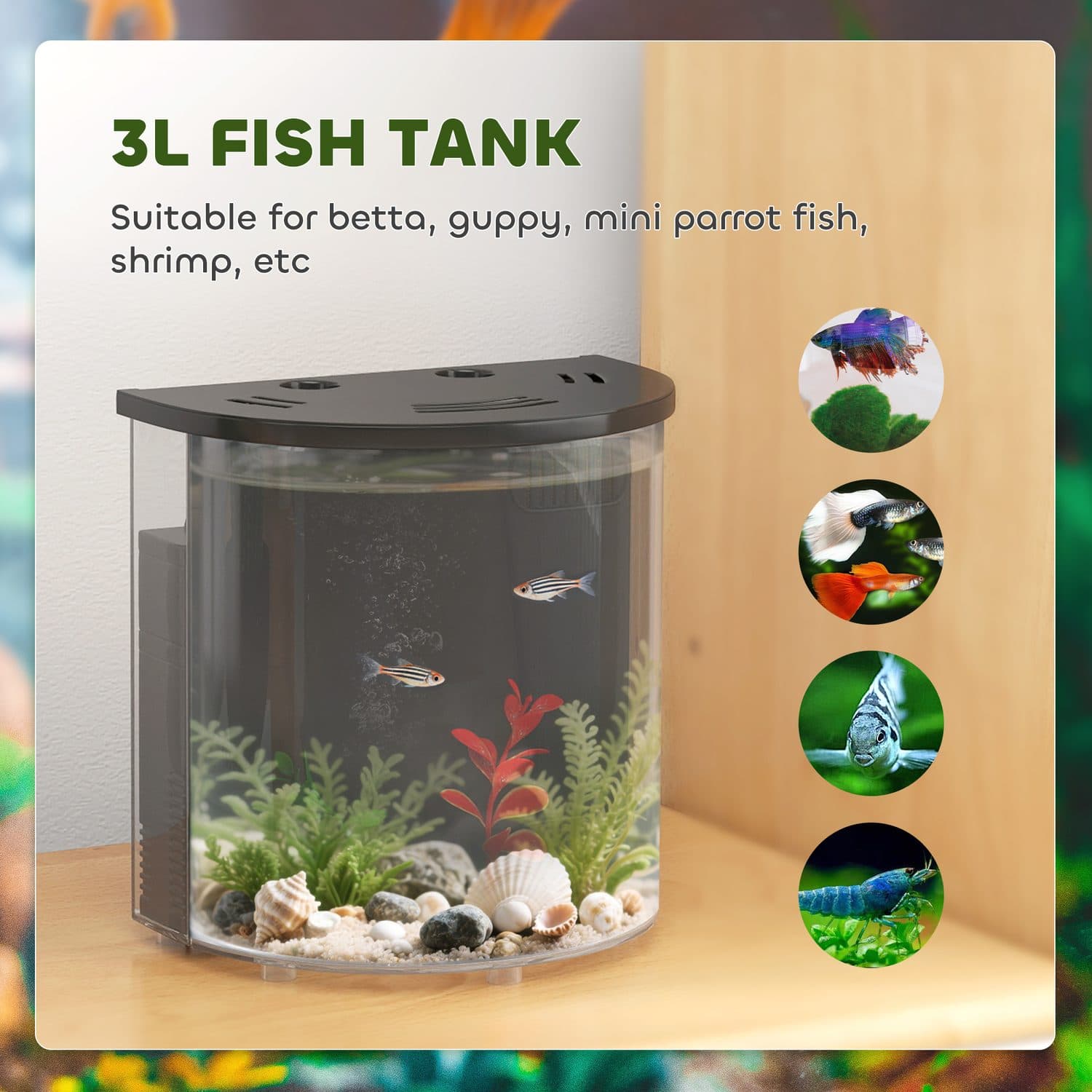 Compact 3-Litre Aquarium with Built-In Filter and LED Lighting - image 3