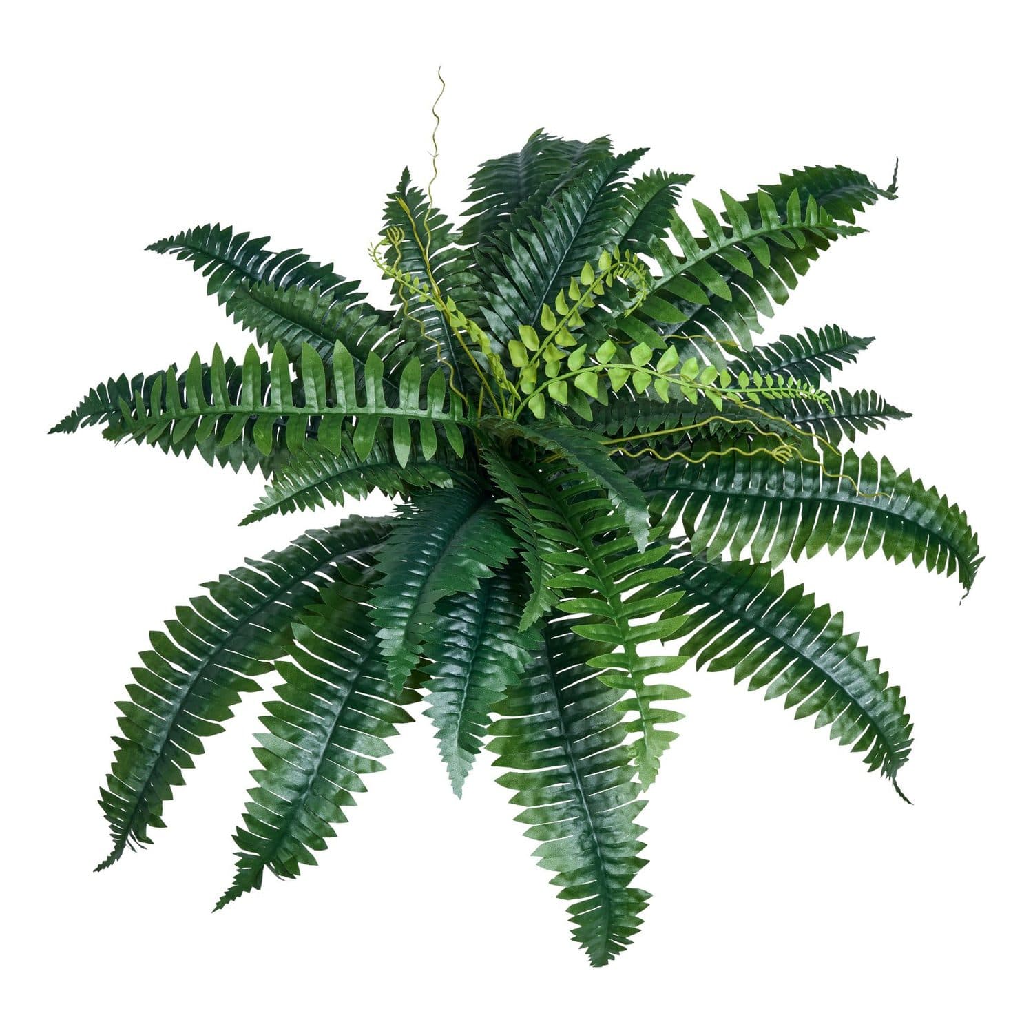 Large Artificial Boston Ferns for Effortless Greenery (2 Pack) - PZSRZJLZWBHHGGAAR001V0
