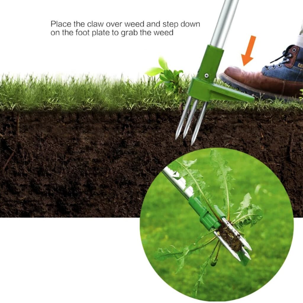 Standing Weed Puller for Lawns and Borders - image 4